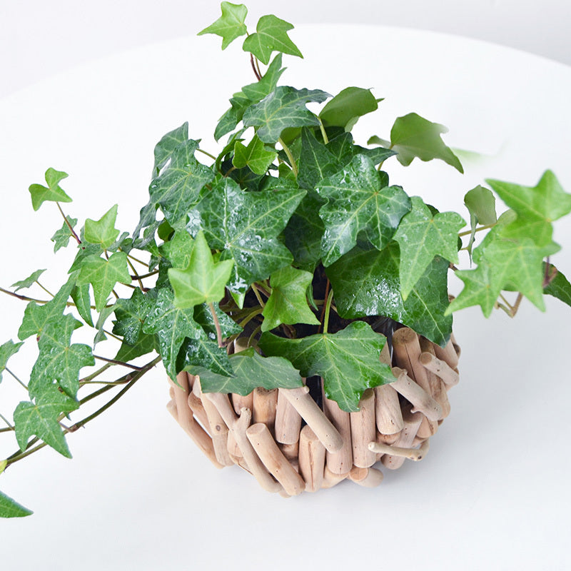 Willow Weave Planter